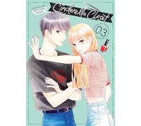 Cinderella Closet Vol. 3