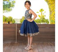 Cinderella Couture Phoenix Dress - 6 years