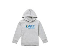 Cinderella Magic Begins Within Youth Kids Pull-Over Hoodie, Athletic Heather Disney Grey 7-8 Years