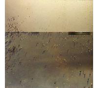 Cindytalk - Hold Everything Dear [VINYL]