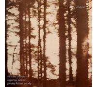 CINDYTALK - THE WIND IS STRONG... (MARBLE SMOKE) [VINYL]