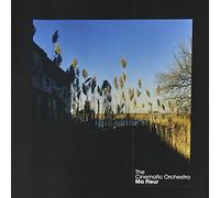 Cinematic Orchestra - Ma Fleur (Dig)