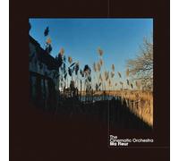 The Cinematic Orchestra – Ma Fleur – Vinyl LP – Domino