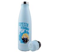 Harry Potter Luna's Patronus Insulated Water Bottle | Acotis