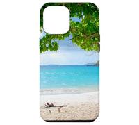 Cinnamon Bay Beach, St. John, U.S. Virgin Islands Case for iPhone 12 Pro Max