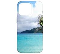 Cinnamon Bay Beach, St. John, U.S. Virgin Islands Case for iPhone 16 Pro