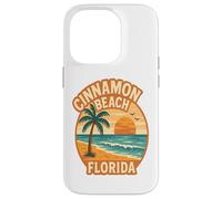 Cinnamon Beach Florida Sunset Case for iPhone 14 Pro