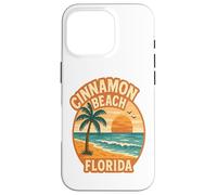 Cinnamon Beach Florida Sunset Case for iPhone 16 Pro