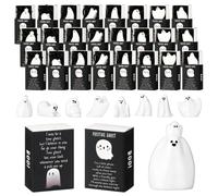 Cinnvoice 24 Set Bulk Back to School Gifts Mini Desk Decor for Students & Teacher Emotional Support Desk Pets Inspirational Cute Resin Mini Ornaments with Thank You Card Box (Ghost)