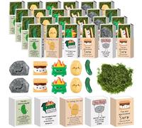 Cinnvoice Employee Appreciation Gifts for Coworkers Bulk Thank You Staff Gifts Small Desk Pets Inspirational Card Box Cute Funny Resin Positive Ornaments Christmas School Office Party(75 Set,Pickle)