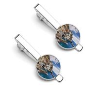 Cinque Terre Scenery 2 Pcs Tie Clips for Men Necktie Tie Bar