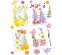 Cinvo 40 Pcs Real Dried Pressed Flowers and Leaves Natural Dried Petals Greenery with Tweezer for Candle Resin Jewelry Soap Nail Pendant Phone Case Crafts Making Floral Decors DIY Embellishments