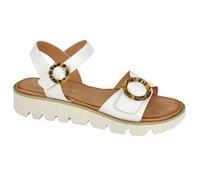 Cipriata Womens/Ladies Mimi Wedge Sandals DF2326