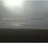 Friesen, David Circle 3 Trio - Where The Light Falls