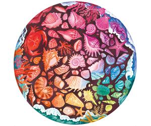 Circle Colors - Seashell