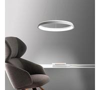 Circle Hanging Lamp Iron and Aluminium Light Fixtures Chandelier Indoor Dimmable LED Pendant Adjustable Contemporary Lighting Compatible with Kitchen Living R