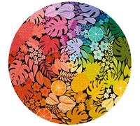 Circle of Colors - Tropical