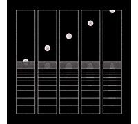 Circles Around The Sun - Let It Wander