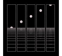 Circles Around The Sun – Let It Wander – Rhino