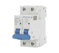 Circuit breaker B1-63C/D 1P 2P 3P 4P 10A 16A 25A(B1-63 1P 4A)