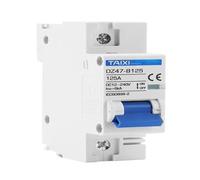 Circuit Breaker,Circuit Breaker Panels DC 12V 24V 36V 48V 72V Battery Protector 80A 125A 63A 1P 2P Breaker Short Circuit Switch Automatic B type AC-DC 2000W to 6000W(1P,100A)