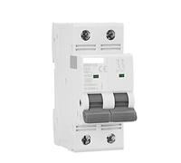 Circuit Breaker Gym9-125 MCB 2p 80A 100A 125A AC C C. Curve Mini Circuit Breaker DP MCB Width 35.6mm 400V 6ka Automatic switch (Color : 125a, Size : 2 Pole C Curve)
