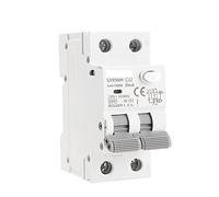 Circuit Breaker GYR9NM 230V RCBO 6KA MCB Residual Current Circuit Breaker with Overcurrent and Leakage Protection 1 0a 16a 25a 32a 40a Automatic switch (Color : 2p 40a, Size : 30mA)