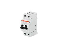 Circuit Breaker Switch S 202 C32 2P 32A 6KA (S466202)