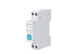 circuit breaker with metering 63A voltage kilowatt-hour meter time relay cycle timing(10A no Metering)