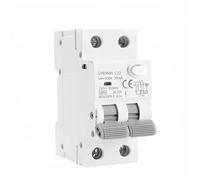 Circuit breakerGYR9NM AC Type Magnetic Circuit Breaker with Over Current and Leakage Protection Din Rail 10A 16A 25A 32A 40A 1Pcs (Size : 300mA, Color : 2P 16A)(2P 25A,100mA)