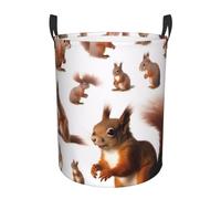 Circular Laundry Basket | Cute Squirrel | Foldable Laundry Hamper, Waterproof Oxford Cloth Dirty Laundry Basket With Handles, Toy Storage Basket For Bedroom, Bathroom, Office, College Dorms