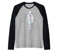 Circulatory System Anatomy Chart Veins and Arteries Raglan Baseball Tee