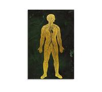 Circulatory System Poster Canvas Wall Art Painting Office Home Decor Gifts 24x36inch(60x90cm)