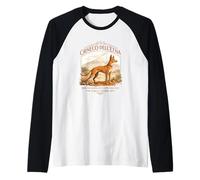 Cirneco Dell Etna Funny Sicilian Dog Raglan Baseball Tee