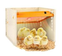 CISSIYOG Chick Brooder Heating Plate, 10" x 10" Adjustable Height and Angle Chick Brooder, Alternative to Heat Lamps and Hens Warm Like Mother Hen, Warmer for 15 Baby Chick & Duckling - Yellow