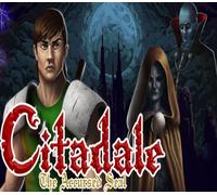 Citadale - The Accursed Seal PC Steam CD Key