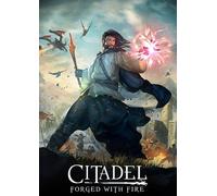 Citadel: Forged with Fire PC