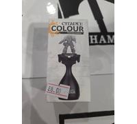 Citadel - Painting Handle (Mk.2)