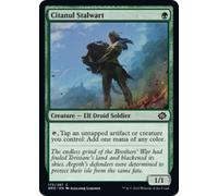Citanul Stalwart | The Brothers' War