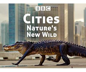 Cities: Nature's New Wild