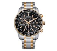 Citizen Eco-Drive Men's Perpetual Calendar Two-Tone Watch