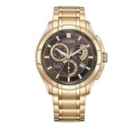 Citizen Men's Classic 8700 Brown 42MM BL8163-50X