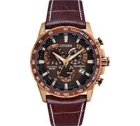 Citizen Perpetual Chrono A.T Eco Drive Mens Watch CZ-615