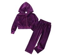 Citridarll Little Kids Hooded Sweatshirt and Pants Sets 2 Pieces Zipper Velvet Sweatsuit Zip Up Hoodie Top and Jogger Pants, 110, 3-4 Years, Purple