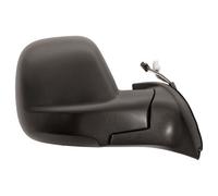 PRASCO PG9107213 Wing mirror