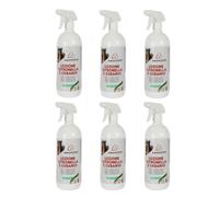 CITRONELLA AND GERANIUM LOTION (1 LT) BOX OF 6 PIECES