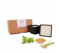 Citronella Candles Outdoor Pack of 2,Soy Wax Garden Candles Set,2 Wicks Camping Candle Lemongrass,9.88oz Each Jar Candle Long Burning,Large Citronella Candle Buckets for Christmas Table Centrepiece