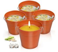 Citronella Candles Outdoors Large,4x200g Natural Soy Outdoor Candle Set
