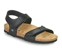 Citrouille et Compagnie Flat sandals BELLI JOE in Black 10 kid