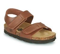 Citrouille et Compagnie Flat sandals BELLI JOE in Brown 6 toddler
